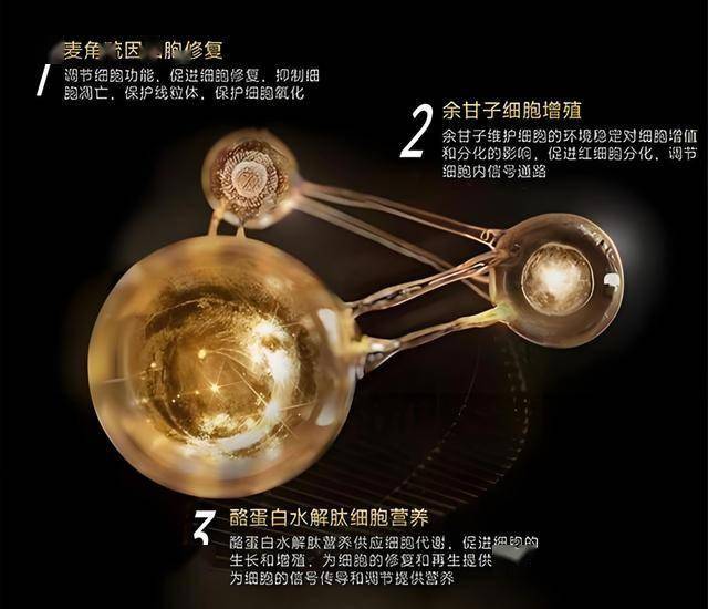 在迎新程 报喜鸟方针性收购Woolrich